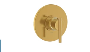 GERBER D562058BBT ONE HANDLE 3/4'' THERMOSTATIC SHOWER VALVE TRIM KIT - BRUSHED - Picture 1 of 1
