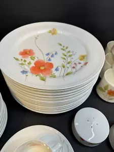 Just Flowers Mikasa Bone China 12 Plates,12 Saucers And 11 cups, Salt And Pepper - Picture 1 of 16