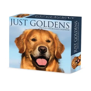 Goldens 2026 5.4" x 6.2" Box Calendar - Picture 1 of 6