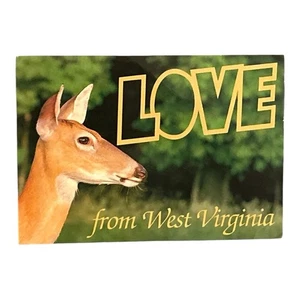 Postcard Vtg West Virginia LOVE Large Letter Wildlife Deer 4x6 - Picture 1 of 2