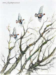 Jagdgemälde ,Jagdmaler, Jagd, Jäger, Rebhuhn, Jagdkunst, Niederwild - Bild 1 von 1