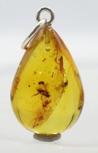 Amber Pendant With 2 Insects, 925 | Baltic Amber with Fossil |Amber Inclusion - Picture 1 of 8