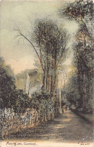 Guernsey - Fairy Lane - Publ. J. Welch & Sons 1055 - Picture 1 of 2