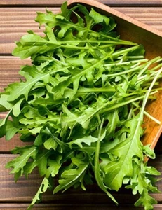 Rocket (Salad) Seeds 2100+ seeds (Eruca) Instructions Included xx - Picture 1 of 2
