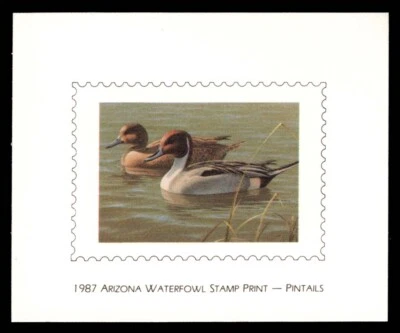 AZ1 Arizona First of State Duck Print Stamp Proof - Image 1 of 2