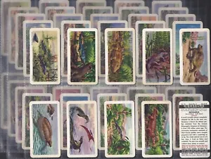 BROOKE BOND (TEA)-FULL SET- (CANADA) DINOSAURS 1971 (48 CARDS) EXCELLENT+++ - Picture 1 of 1
