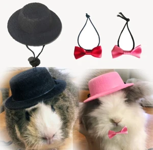 Costumi Furetto Coniglio Guinea Furetto Vestiti Cappello con Collare Ciovaglino Accessori Giocattolo - Foto 1 di 10