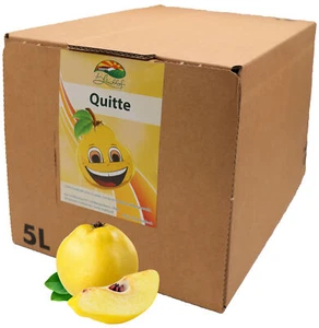 Bleichhof Quittensaft – 100% Direktsaft ohne Zusätze (1x 5l Saftbox) - Picture 1 of 5