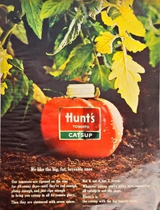 Hunt's Tomato Catsup Big Fat Lovable Ones 40 Sunny Days 1964 Vintage Print Ad - Bild 1 von 1