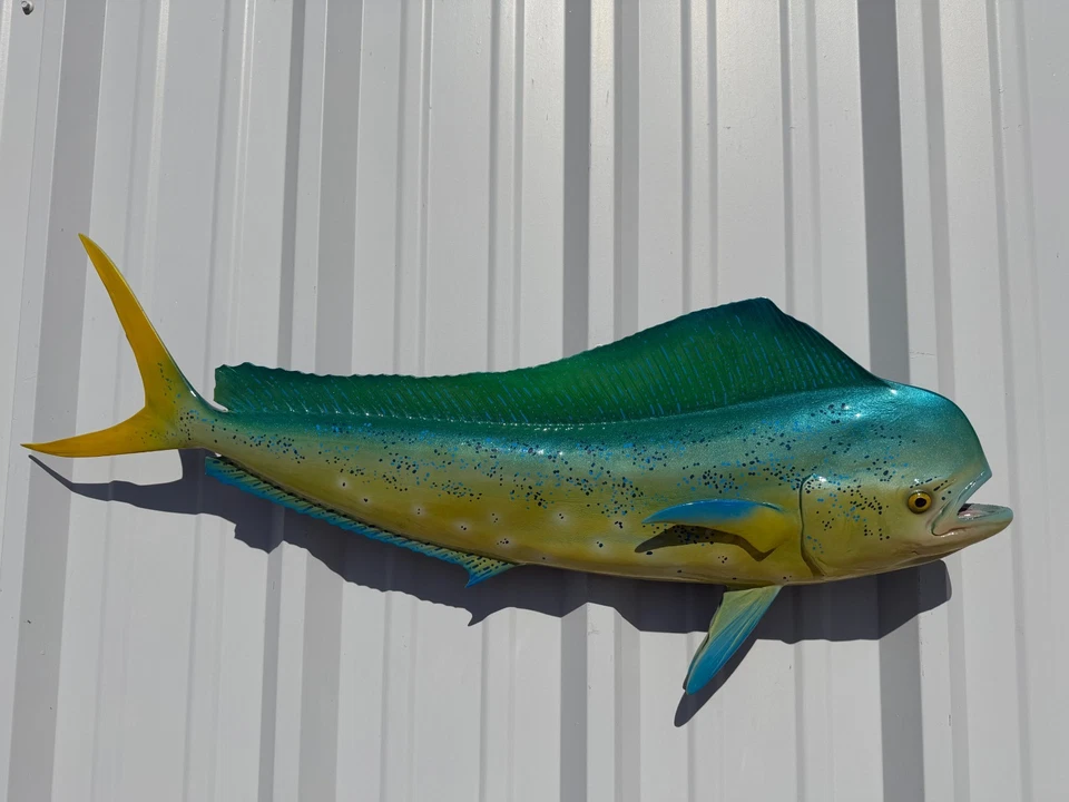 36" Bull Dolphin (Dorado/Mahi) réplica de montagem de peixe em dois lados - Em estoque - Imagem 1 de 4