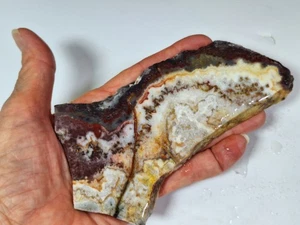 Unpolished MEXICAN LACE AGATE Lapidary Slab *Mexico *over 5 x 2 x .25 inch *5 oz - Picture 1 of 16