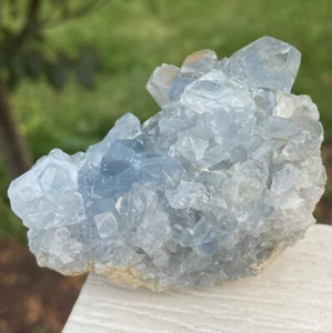 HIMMELBLAUER CELESTIT natürliche Heilung Kristall Punkt Cluster SAKOANY MADAGASKAR 2,7" - Bild 1 von 8