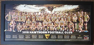 2015 HAWTHORN HAWKS FOOTBALL CLUB TEAM AFL OFFICIAL POSTER FRAMED - Picture 1 of 1
