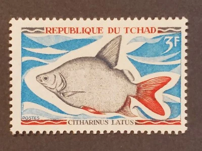 1969 como nuevo norte de África Central - Chad. Tilapia del Nilo y pez luna. Foto 1 de 4