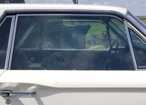 Door Window Glass Passenger 65 1965 Thunderbird Ford T Bird Parting 1964-66 - Picture 1 of 23