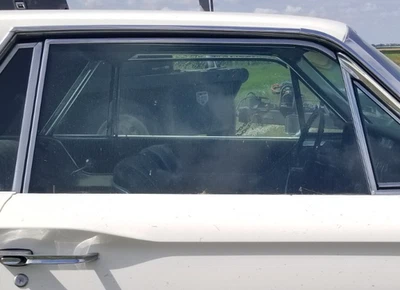 门窗玻璃乘客 65 1965 雷鸟福特 T 鸟分体 1964 - 66 — 第 1/4 张图片