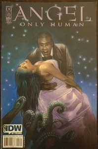 Angel Only Human #2 Cover B VF/NM first printing IDW Buffy Vampire Slayer BTVS - Picture 1 of 1