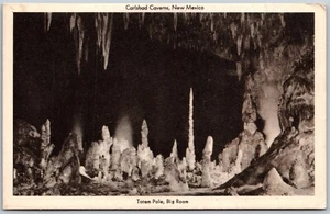 Vtg New Mexico NM Totem Pole Big Room Carlsbad Caverns National Park Postcard - Picture 1 of 2