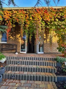 Winkelbungalow mit kleinem eigenen Paradies - Bild 1 von 14