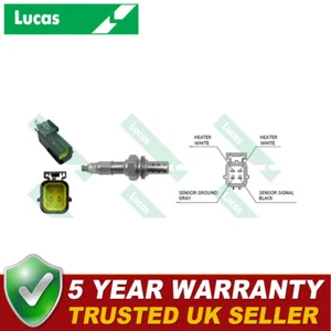 Sensor de oxígeno lambda para Rover Mini 100/Metro Land Rover Freelander Lucas - Imagen 1 de 2