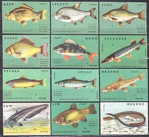 POLAND 1966 Matchbox Label Z#664/75 set, Freshwater fish. - Imagen 1 de 1
