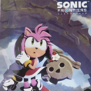 2 SET 2022 SONIC FRONTIERS JAPAN SEGA LOTTERY CLEAR FILE AMY ROSE KOCO HEDGEHOG - Bild 1 von 7