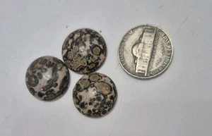 Lot Of 3 Leopardskin Jasper 17-18mm (Approx) Round Cabochons,  Dome  5.5 - Bild 1 von 3