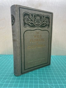 The Wild Flowers of California von Elizabeth Parsons 1909 - HC, 100er Teller! - Bild 1 von 14