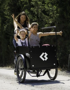 Bimas eCargo 3.3 Premium electric cargo bike - Picture 1 of 9