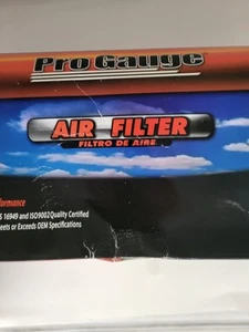 Pro Gauge Air Filter Premium Filter PGA-6109 Interchange with FRAM, NAPA, Champ - Foto 1 di 6