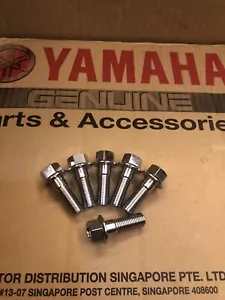 RD350 RZ350 RD250 F1 F2 YPVS 48H 29L 31K CALLIPER BOLT SET PAIR - Picture 1 of 3