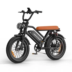 20" Fat Tire 750W Electric Bicycle 48V 18.2AH City E-bike Mountainbike 7 Speed - Picture 1 of 13