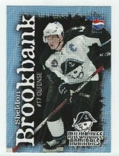 Sheldon Brookbank 2006-07 Milwaukee Admirals (AHL) 