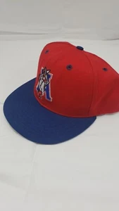 Vintage Texas Amarillo Armadillos Baseball Hat sz 7 5/8 Pro Line - Picture 1 of 5