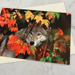 Tarjeta de felicitación en blanco de hojas de otoño de lienzo completo con sobre - Imagen 1 de 3