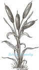 Fall Tall Cattail Bundle Wood Mounted Rubber Stamp Northwoods O6556 New