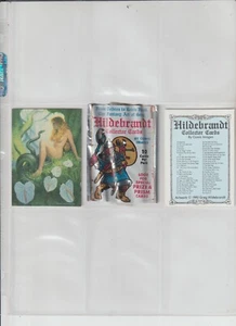 1992 ART WORK GREG HILDERBRANDT COMPLETE 90-CARD SET - Picture 1 of 1