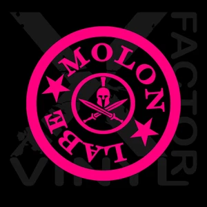 Molon Labe Come & Take Them 2nd Amendment Gun Owner Rights Vinyl Decal FREE SHI - Picture 1 of 26