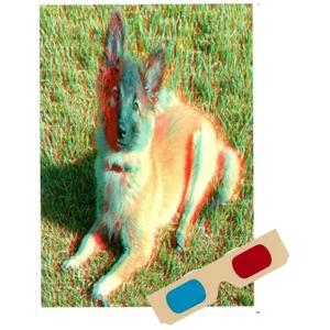 Tervueren Belga - Tarjeta de Felicitación Fantasma - con Gafas 3D - Único 3D - NUEVO - Imagen 1 de 4