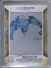 2017-18 Upper Deck Black Diamond Relic Rookies 1/1 Josh Ho-Sang Rookie RC 0c3