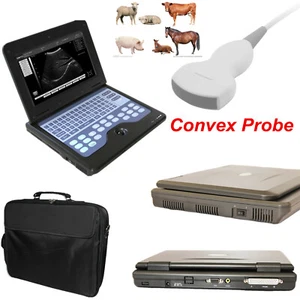 Tierarzt Tier Ultraschallscanner Laptop System konvexe Sonde für Hund/Katze - Bild 1 von 11