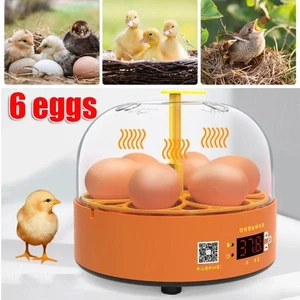 Intelligent Poultry Egg Incubator Brooder Incubator Quail Incubation - Picture 1 of 14