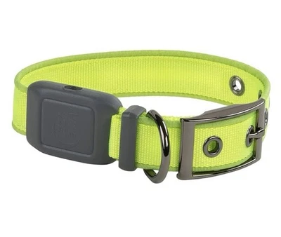 Nite Ize NiteDog USB Rechargeable LED Collar, Light Up, Lime/Green LED-Medium - Image 1 of 4