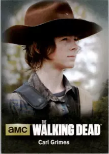 2016 Walking Dead Season 4 Part 1 Character Bios Non-Sport Card #C03 Carl Grimes - Picture 1 of 2