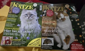 2x*Geliebte Katze*Juni 2025 *Dezember 2024*Top! - Bild 1 von 3