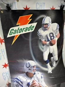 Peyton Manning / 2001 Gatorade Store Display Double Sided 24” X 44” B - Picture 1 of 13