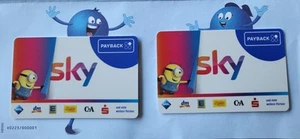 Payback Karte - Sky Minions- Starter Set - Haupt - Zusatzkarte - Bild 1 von 1