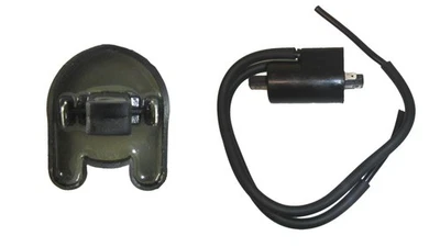 Bobina de encendido para Yamaha XV 1600 AS 2000 Road Star MM (edición limitada) Foto 1 de 4