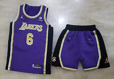 Custom 1/6 Lebron James Lakers jersey 6 Purple  TOYs fit enterbay