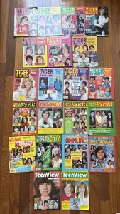 Vintage Tiger Beat Zeitschriften Poster 1978-79 Leif Shaun Teen View Lot of 21 - Bild 1 von 24